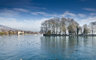 Lake birds trees sky mountains - panoramic free wallpaper for desktop