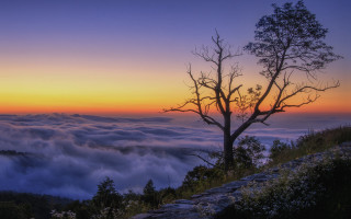Hill sunset clouds trees river - alson s. clark free wallpaper