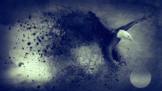 Eagle flying over moonlit night - blender and photoshop free wallpaper
