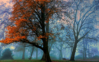 Mystical autumn park bench fog - david martin free wallpaper for desktop