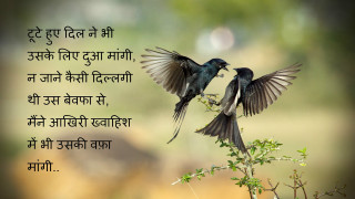 Two birds flying tree branch - two bird free wallpaper