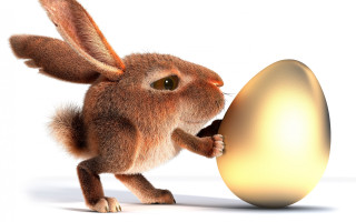 Brown rabbit holding egg surprised - its paw free wallpaper