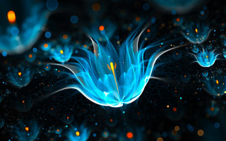 Blue flower glowing petals space - many free wallpaper