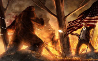 Man flag bear forest fire - fire free wallpaper