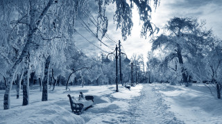 Snowy park bench ice trees - a cloudy day free wallpaper