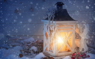 Lantern lit snow red flower - a lantern free wallpaper