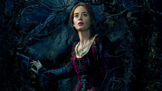 Woman dress tree bird nature - a woman in a dress free wallpaper