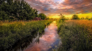 River green field cloudy sky 4 - a lush green field under a cloudy sky free wallpaper