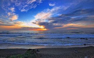 Sunset ocean bird beach waves - colorful cloud free wallpaper