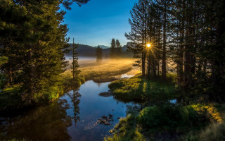 River fog sunset trees lake - ansel adams free wallpaper
