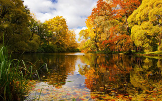 River trees autumn leaves sky - the water and a sky background free wallpaper