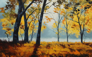 Forest autumn leaves blue sky - rich free wallpaper