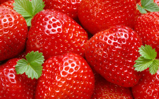 Strawberries leaves green stem macro - strawberry free wallpaper