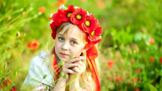 Girl red flower hair field - a field of flowers free wallpaper