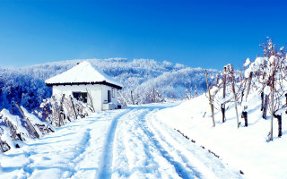 Snowy road white building blue - small free wallpaper