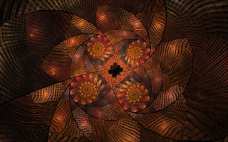 Flower leaves petals black background - a black center free wallpaper