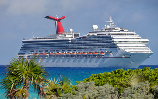 Cruise ship palm tree sky - color free wallpaper