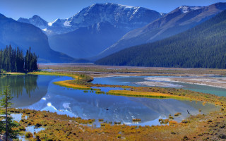 River mountains trees field flowers - naturalism free wallpaper