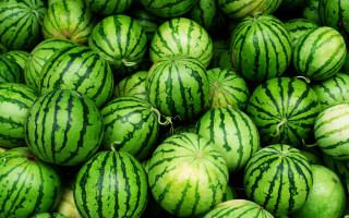 Watermelons market display neoplasticism green - display free wallpaper