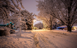 Snowy street light tree house - a snowy street free wallpaper