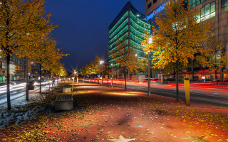 City street autumn leaves bridge - a city street free wallpaper