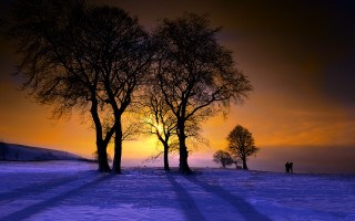 Snowy trees sunset mountain lake - a couple of trees free wallpaper