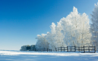 Fence snow trees field blue - snow free wallpaper