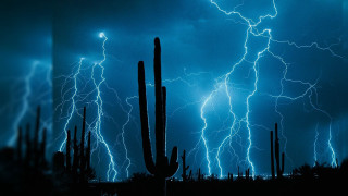Cactus tree lightning dark sky - dramatic free wallpaper