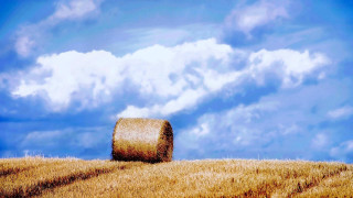 Haybail field blue sky clouds - a blue sky in the background free wallpaper for desktop
