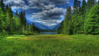 Grassy lake mountains clouds nature - a grassy field free wallpaper