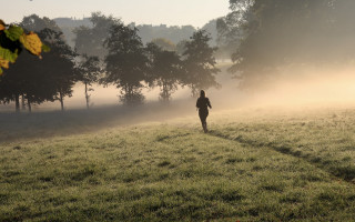 Foggy morning field forest city - tonalism free wallpaper