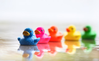 Rubber ducks reflective table white - a reflective surface free wallpaper