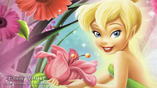 Tinkerbell holding flower smiling cartoon - pixar and disney animation free wallpaper