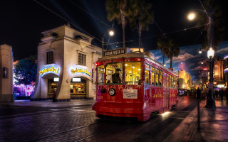 Trolley street night city palm - night time in a city free wallpaper