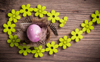 Bird nest pink egg knife - a wooden table free wallpaper