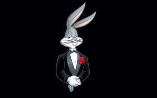 Rabbit tuxedo rose formal unreal - a rose free wallpaper