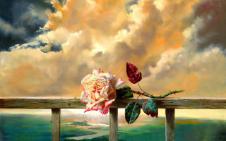 Rose wooden railing cloudy sky - cloudy free wallpaper