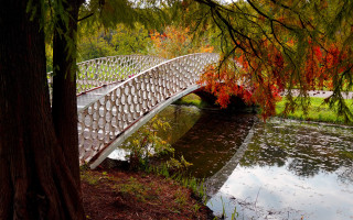 Bridge river park autumn leaves - tree and water free wallpaper