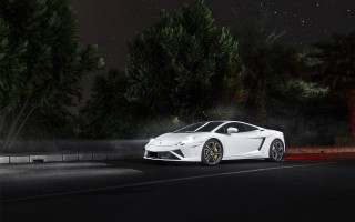 White sports car night trees 2 - the side of the road free wallpaper