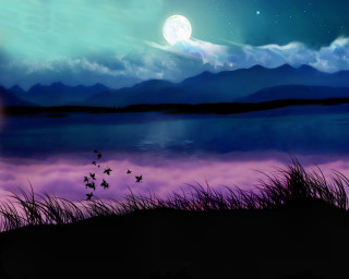Lake full moon birds flying - a few bird free wallpaper