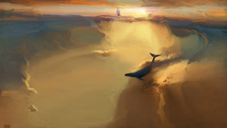 Whale ocean sunset bird fantasy - sunset free wallpaper