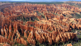 Canyon trees rocks sunset cityscape - fractal free wallpaper