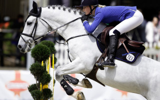 Woman horse jump flag blurry - ultra high definition free wallpaper