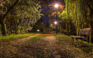 Park bench leafy path night - a park bench free wallpaper