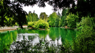 Lake bridge trees impressionist nature - ann thetis blacker free wallpaper