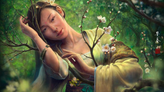Woman branch flowers bird kimono - a painting of a woman holding free wallpaper