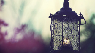 Light fixture neo romanticism atmospheric - a blurry background of trees and bushes free wallpaper