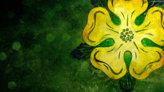 Yellow flower green leaves black 5 - a black bird free wallpaper