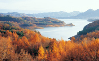 Lake mountains trees autumn leaves 2 - yellow leaf free wallpaper