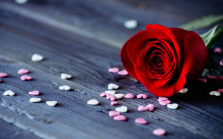 Red rose hearts flower petals - heart free wallpaper